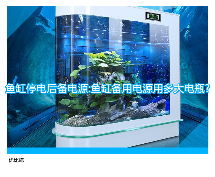 魚缸停電后備電源:魚缸備用電源用多大電瓶?